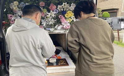 「千葉県松戸市で自慢のカギしっぽが愛らしかった猫ちゃんを穏やかにお見送りいたしました」写真