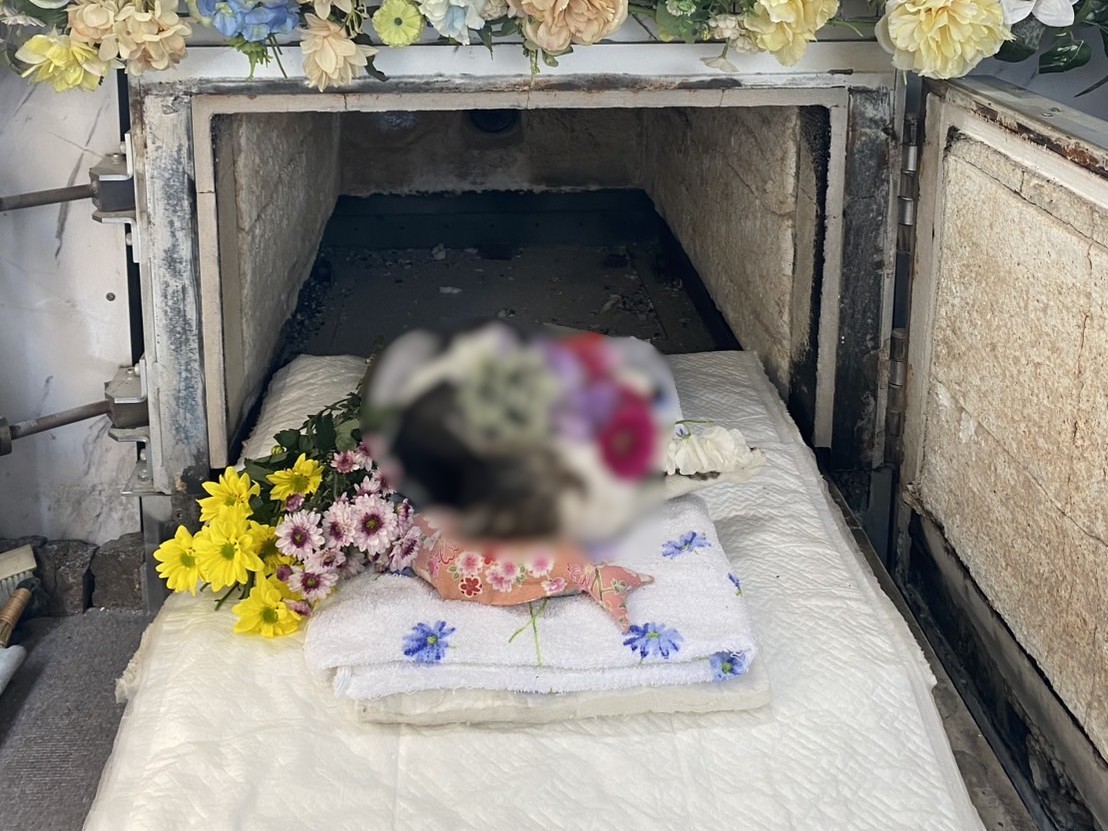 市川市で出産後に旅立たれた猫ちゃんをお見送りしました