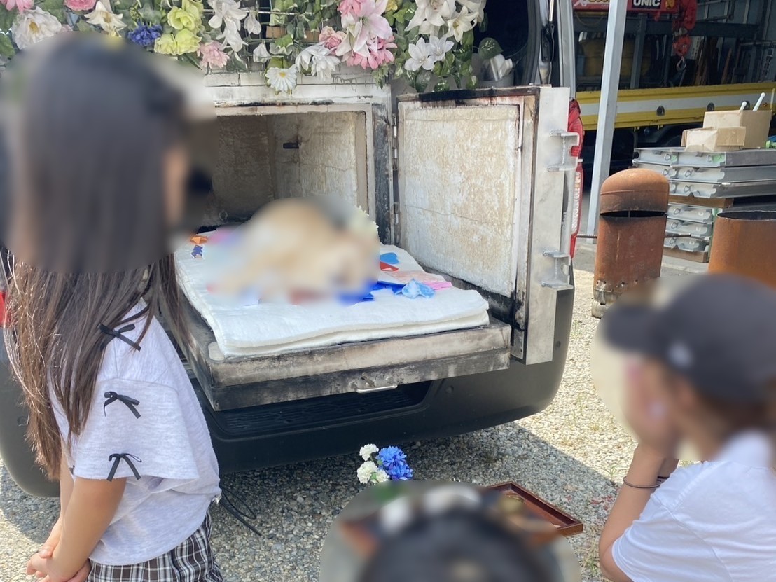 千葉市花見川区でお子様に可愛がられていたチワワちゃんをお見送りしました